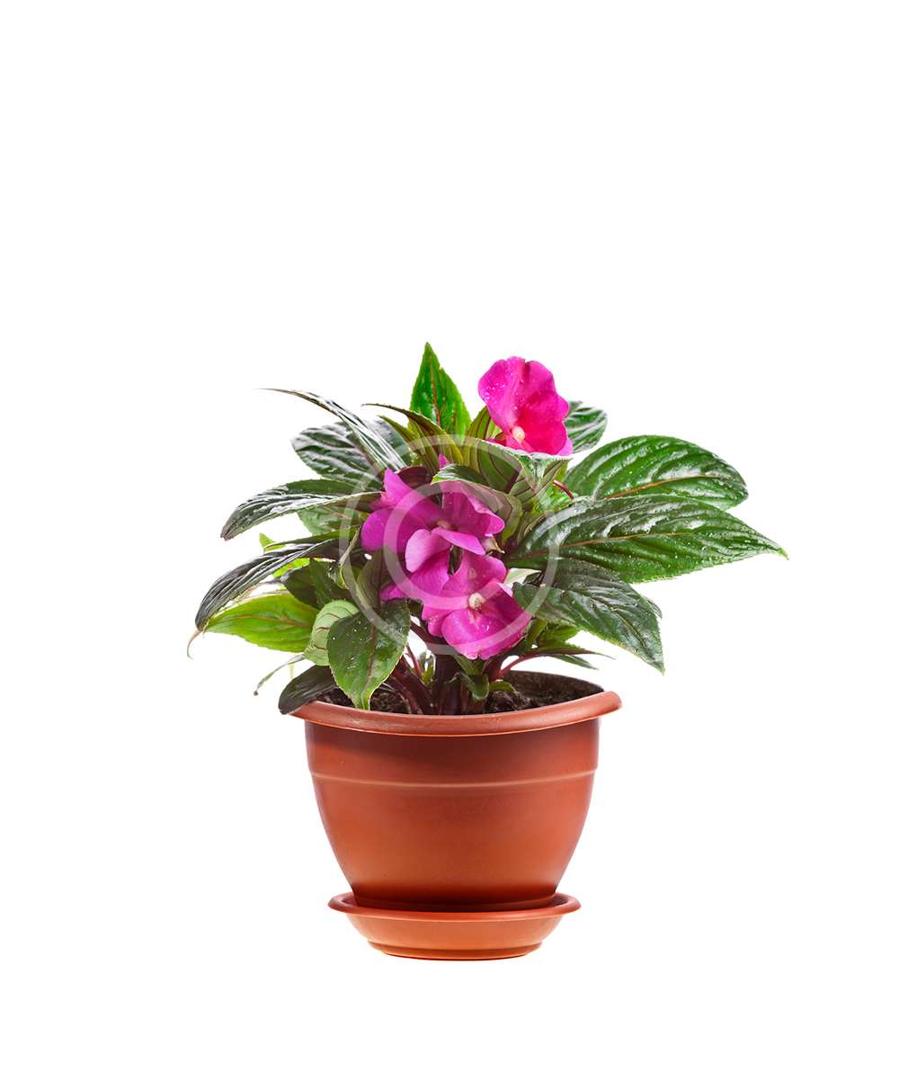 product-9
